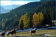 Val di Fassa