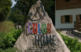 Color Home Suite Apartments - Val di Fiemme-1