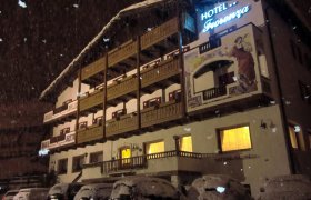 Hotel Fiorenza - Val di Fassa-0