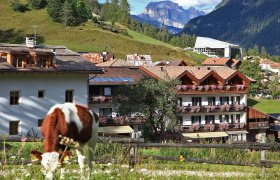 Hotel Miramonti (Vigo) - Val di Fassa-1