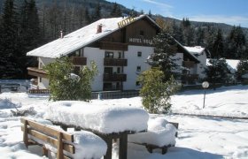 Hotel Sole - Val di Fiemme-2